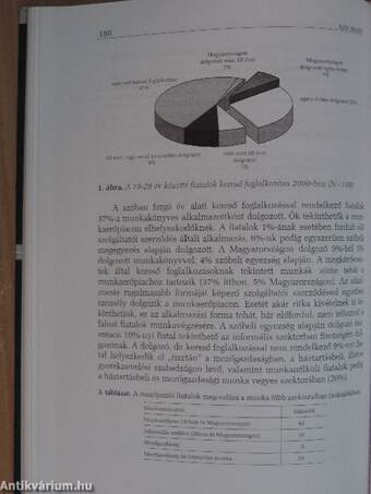 Szociológiai tanulmányok erdélyi fiatalokról