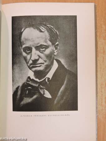 Charles Baudelaire válogatott művészeti írásai