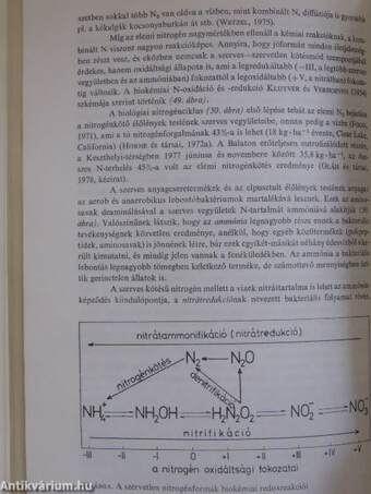 A vizek környezettana