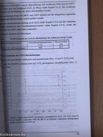 Entwicklung einer oxidationsbeständigen Faserbeschichtung für die Optimierung der Faser-Matrix-Grenzfläche im Faserverbundsystem Al2O3/Mullit