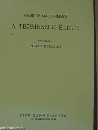 A termeszek élete