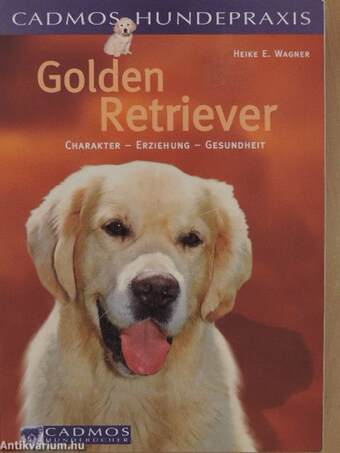 Der Golden Retriever