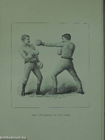 Fencing, boxing, wrestling