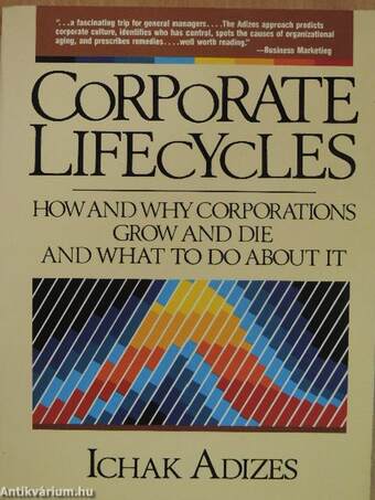 Corporate Lifecycles