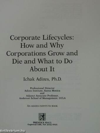 Corporate Lifecycles