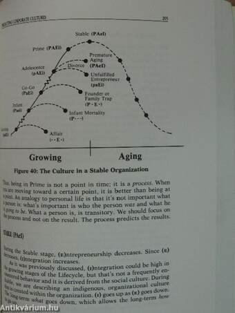 Corporate Lifecycles