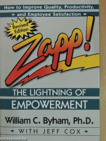 Zapp! The Lightning of Empowerment