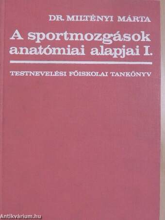 A sportmozgások anatómiai alapjai I.