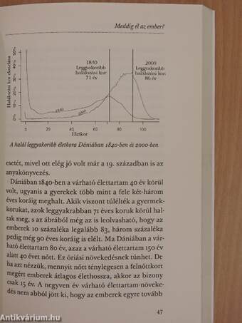 Paleolit táplálkozás kezdőknek