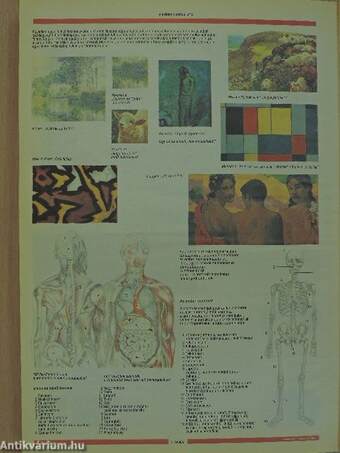 Cambridge enciklopédia 1992. április-december/Függelék + 8 tábla színes képmelléklet