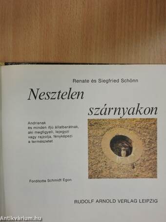 Nesztelen szárnyakon