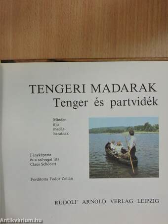 Tengeri madarak