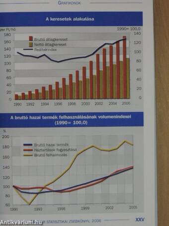 Magyar statisztikai zsebkönyv 2006