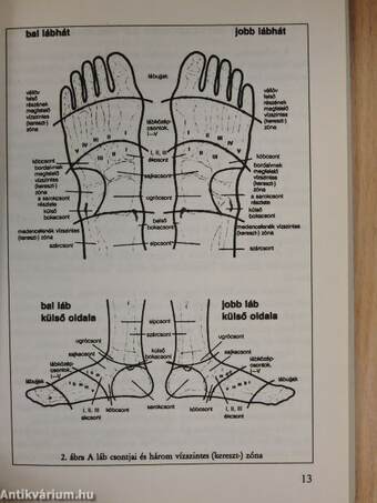 A láb- és talpmasszázs nagykönyve