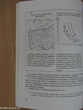 Közgazdaságtan I.