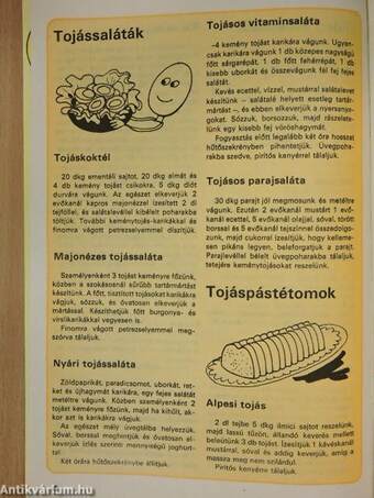 Fakanál - 101 tojásrecept