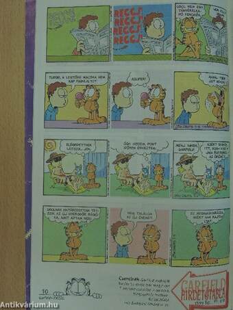 Garfield 2002/6. június