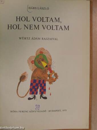 Hol voltam, hol nem voltam