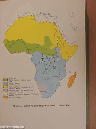 Fekete-Afrika története I-II.