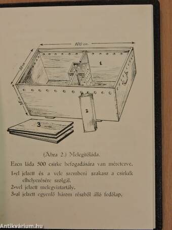 A fácántenyésztés ismertetése