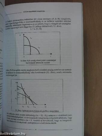 Regionális integrációk gazdaságtana