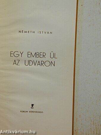 Egy ember ül az udvaron