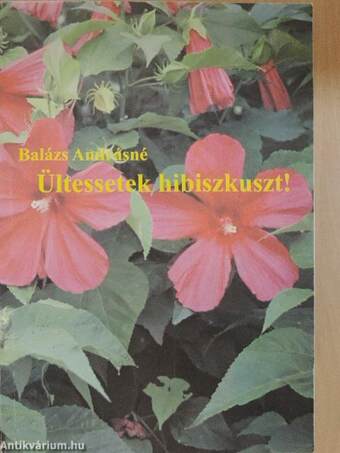 Ültessetek hibiszkuszt!