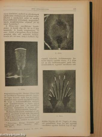 Természettudományi Közlöny 1932. január-december/Pótfüzetek a Természettudományi Közlönyhöz 1932. január-december