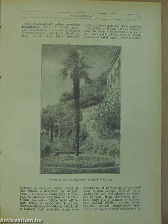 Természettudományi Közlöny 1928. január-december/Pótfüzetek a Természettudományi Közlönyhöz 1928. január-december