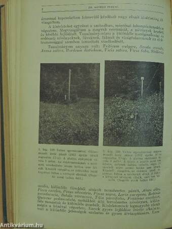 Természettudományi Közlöny 1928. január-december/Pótfüzetek a Természettudományi Közlönyhöz 1928. január-december