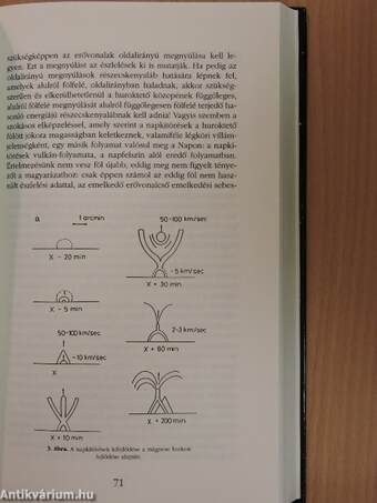 Az Élő Világegyetem könyve