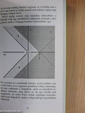 A kutya különös esete az éjszakában