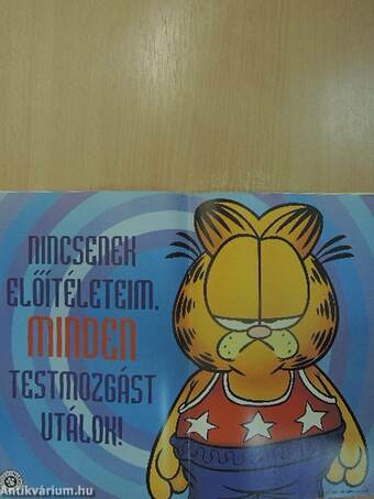 Garfield 2003/2. február