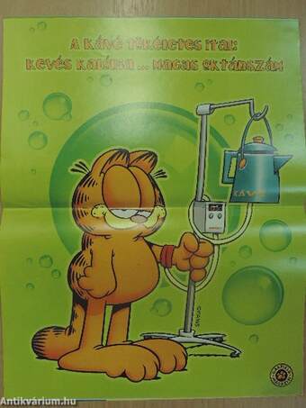 Garfield 1999/2.