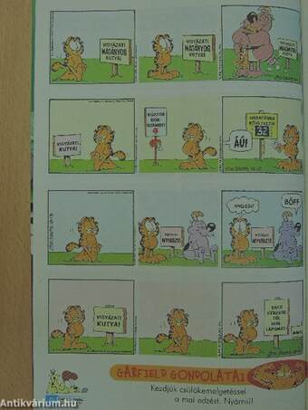 Garfield 2007/10. október