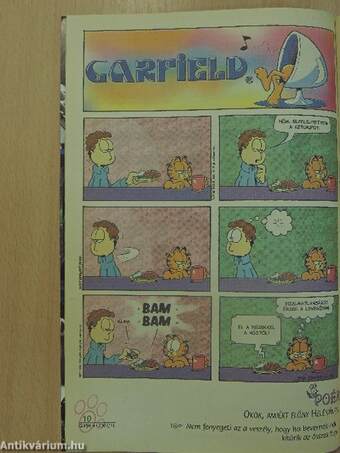 Garfield 2001/11. november