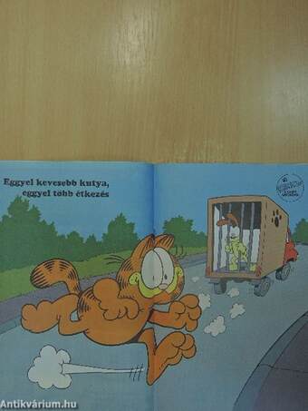 Garfield 1994/6. június