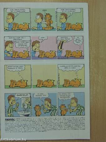 Garfield 1999/3.