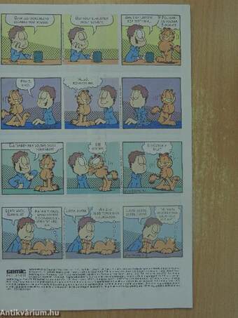 Garfield 1996/3.