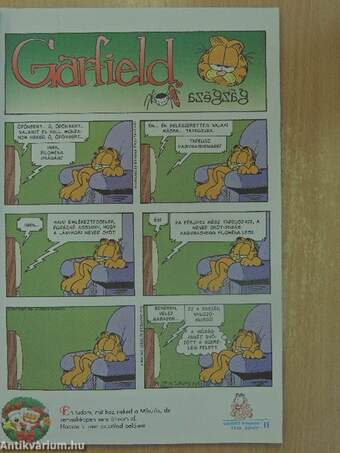 Garfield 2009/1. január