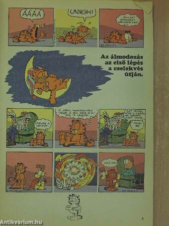 Garfield 1991/9.