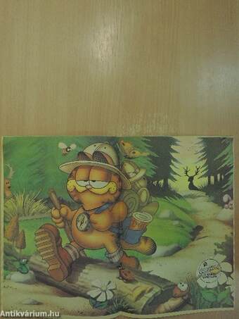 Garfield 1991/9.