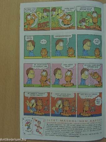 Garfield 1998/9.