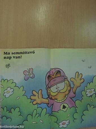 Garfield 1995/7. július