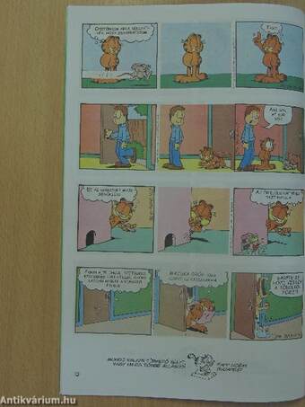 Garfield 1996/10.