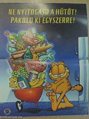 Garfield 1999/4.