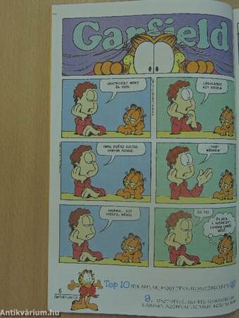 Garfield 2004/6. június