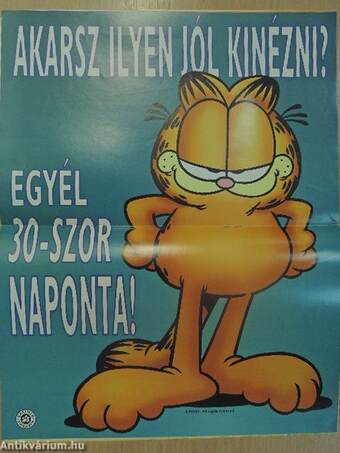 Garfield 2004/6. június