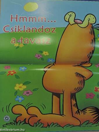 Garfield 2004/4. április