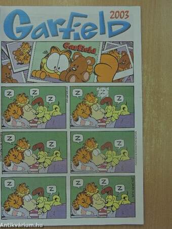 Garfield 2004/3. március